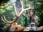 Wyoming bull