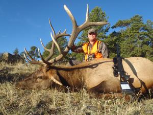 Elk