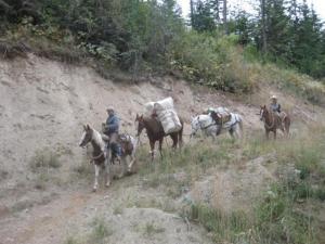 Elk scouting trips 2011