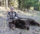 2008 Washington Bear
