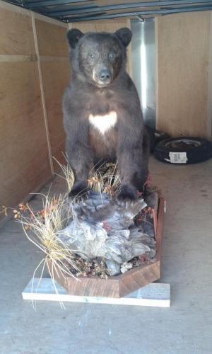 Marsh Trophy Room