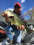 Bassin 