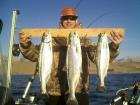 Lake Roosevelt Kokanee