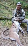 North East Idaho wildcat