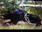 Maine black bear