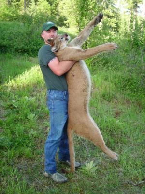 2009 WA Cougar