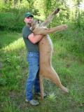 2009 WA Cougar