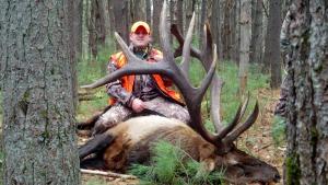 2014 bull elk