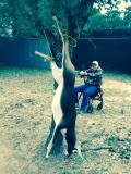 Black Buck