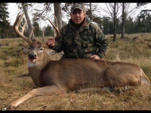 Whitetail deer