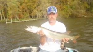 muskie