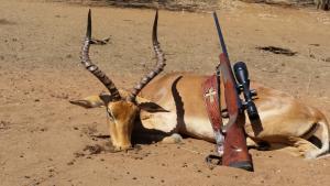 Impala