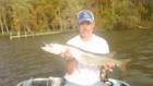 muskie