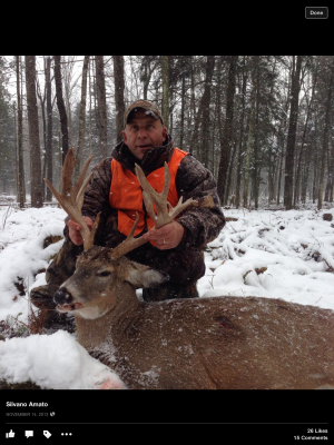 Whitetail