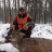 Whitetail