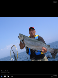 Salmon