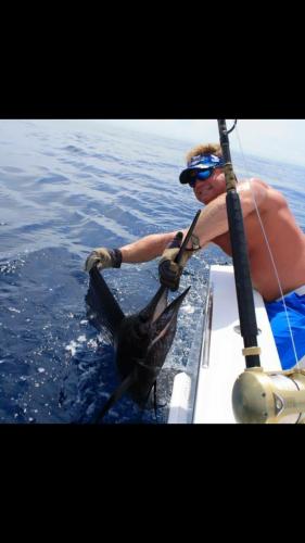 Sailfish