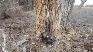 BWWA raccoon 
