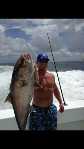 Amberjack