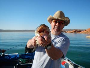Large Mouth Bass