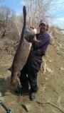 North Dakota Paddle Fish