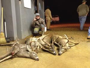 Whitetail