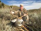 Washington State Mule Deer