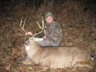 Whitetail