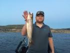 25" Cutthroat 