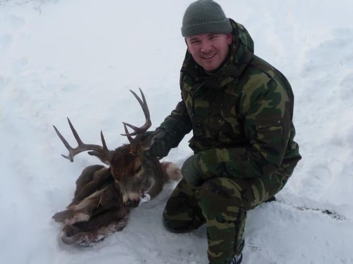 2010 Idaho mountain buck