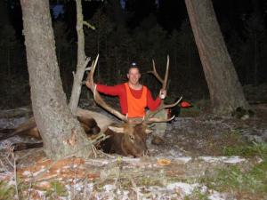 First trophy class bull
