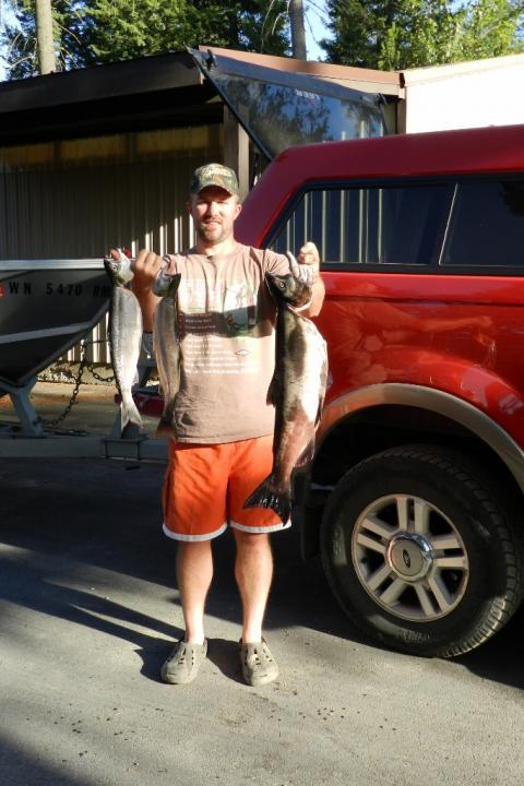 Columbia river salmon