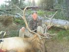 Eagle Cap elk
