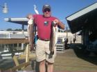 Spotted Sea Trout