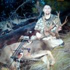 Mule deer