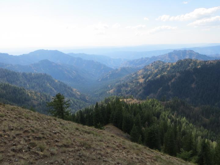 Wehana Wilderness - pic 1