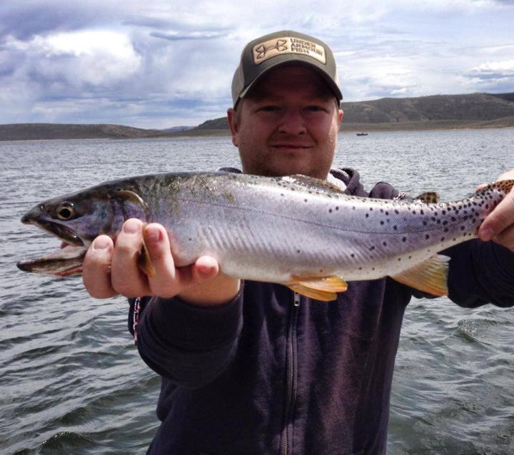21&quot; Inch Cutthroat