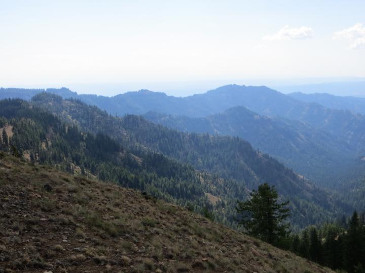 Wehana Wilderness - pic 2