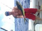 Mahi