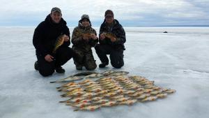 Monster Perch