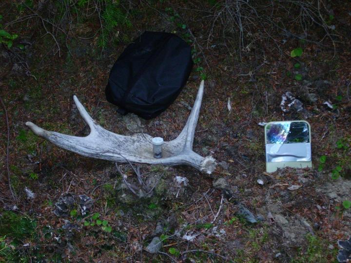 2010 moose shed