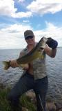 Walleye