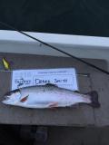 3.5 lb Rainbow Trout