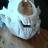 Bear Skull