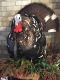 Turkey from 2014