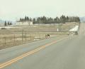 Massive Elk Herd in Montana - Video